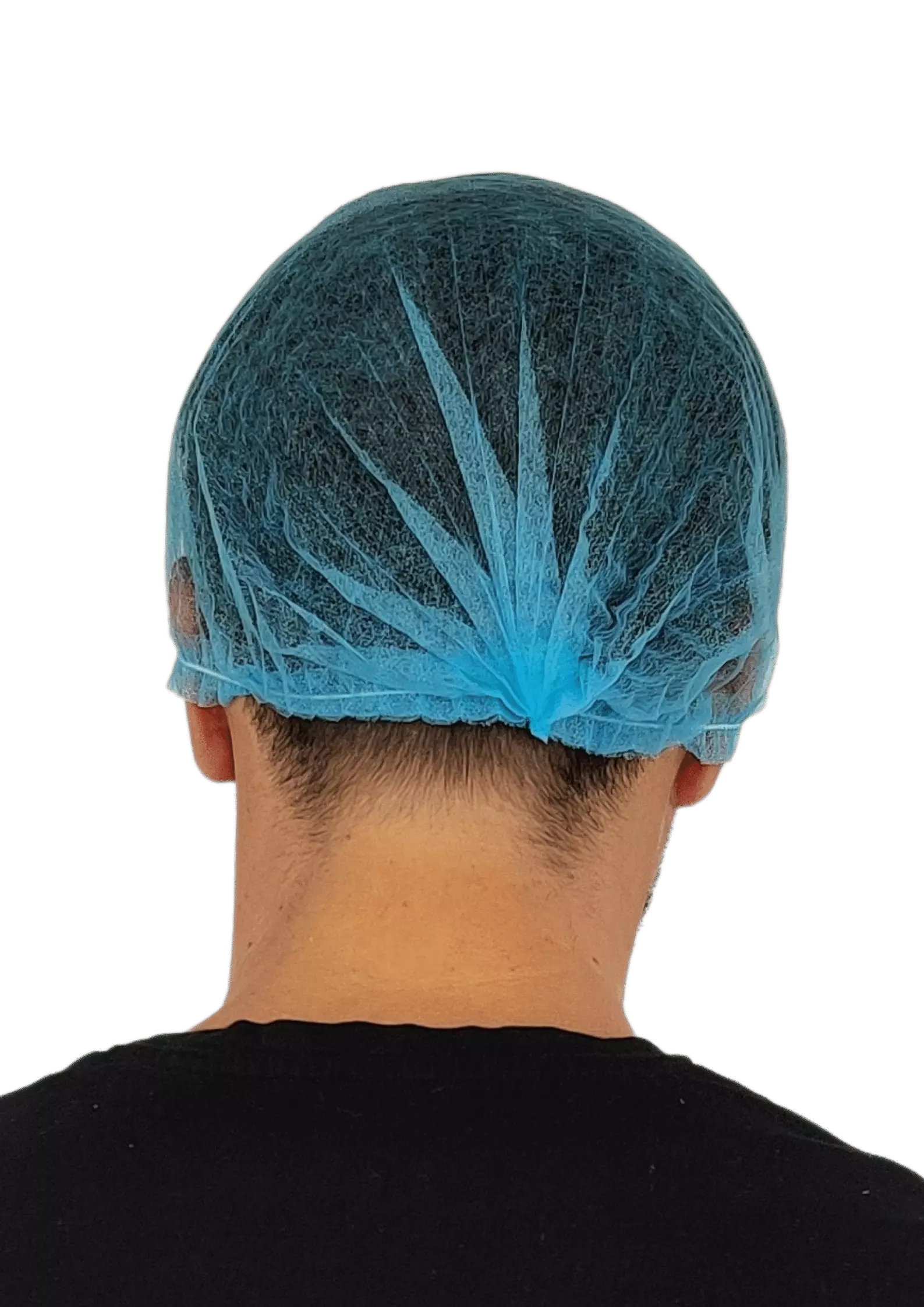 charlotte cheveux clips bleue dos